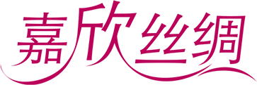 东升国际简介